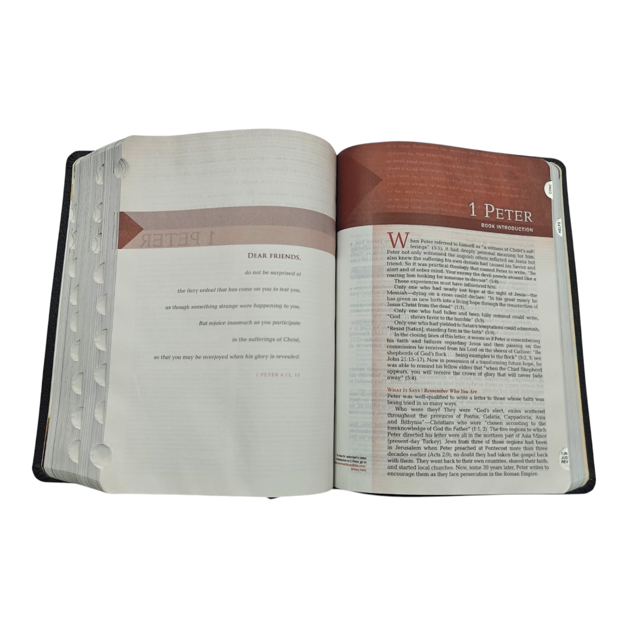 NIV Jeremiah Study Bible, Dr. David Jeremiah, Red Letter Edition | Study Bible, Reference Bible | Holy Bible