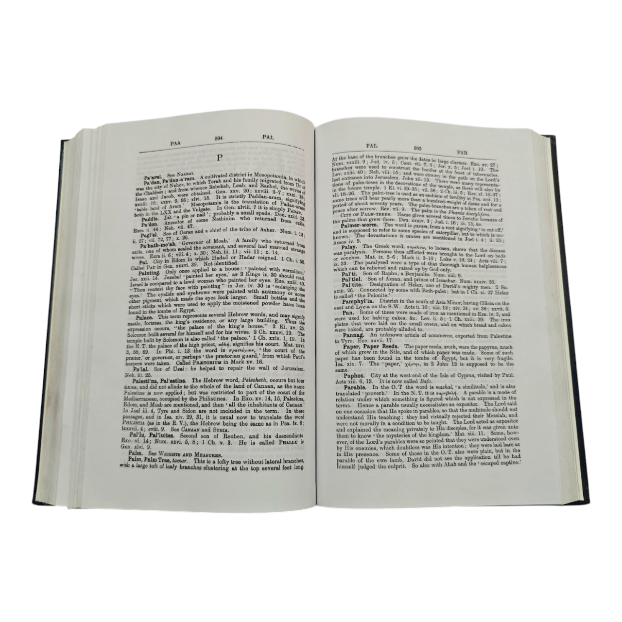 Concise Bible Dictionary | Bible Commentary, Bible Reference | English Christian Book