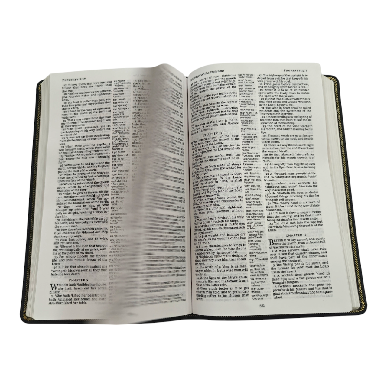 KJV Thinline Deluxe Reference Bible King James Version | Study Bible, Reference Bible | Holy Bible