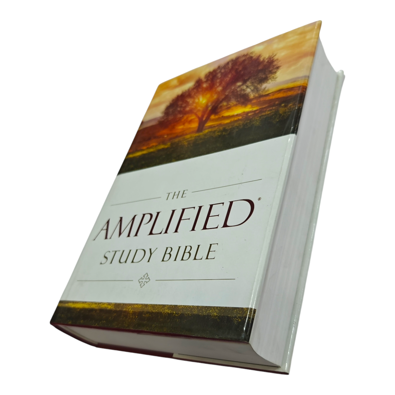 The Amplified Study Bible (AMP), 5,000+ Study Notes & Expanded Word Meanings (Zondervan) | Study Bible, Reference Bible | Holy Bible