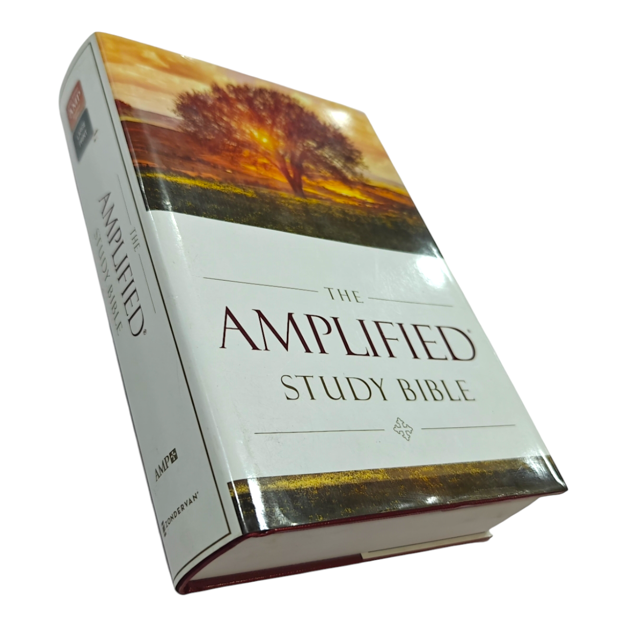 The Amplified Study Bible (AMP), 5,000+ Study Notes & Expanded Word Meanings (Zondervan) | Study Bible, Reference Bible | Holy Bible