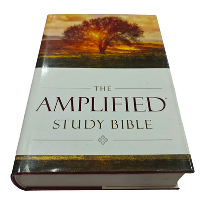 The Amplified Study Bible (AMP), 5,000+ Study Notes & Expanded Word Meanings (Zondervan) | Study Bible, Reference Bible | Holy Bible