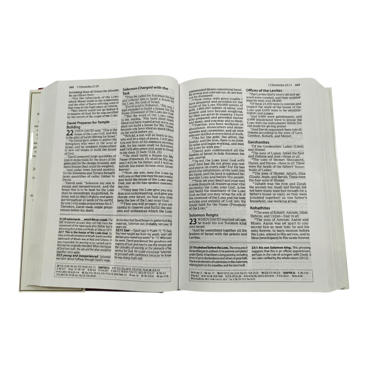 The Amplified Study Bible (AMP), 5,000+ Study Notes & Expanded Word Meanings (Zondervan) | Study Bible, Reference Bible | Holy Bible