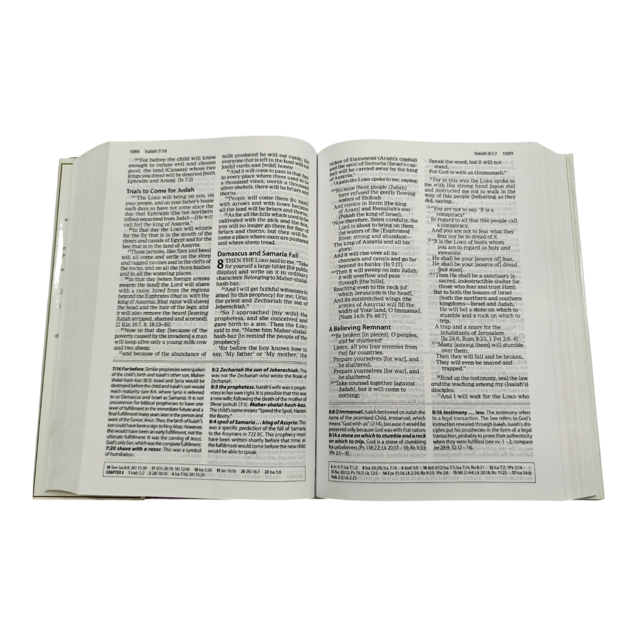 The Amplified Study Bible (AMP), 5,000+ Study Notes & Expanded Word Meanings (Zondervan) | Study Bible, Reference Bible | Holy Bible