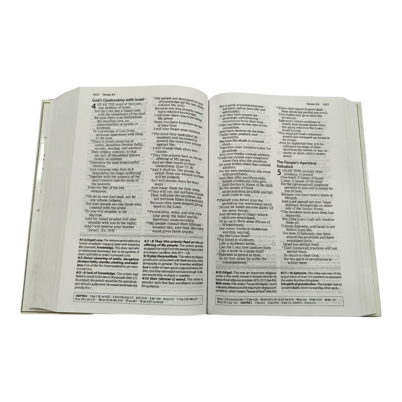 The Amplified Study Bible (AMP), 5,000+ Study Notes & Expanded Word Meanings (Zondervan) | Study Bible, Reference Bible | Holy Bible