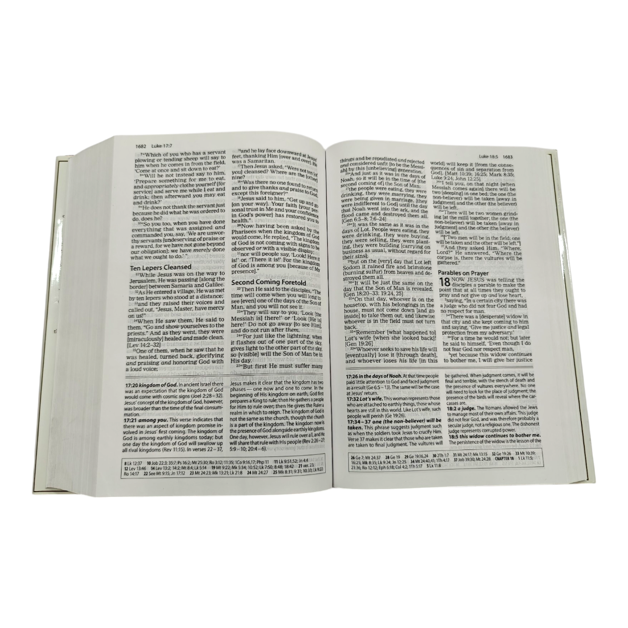 The Amplified Study Bible (AMP), 5,000+ Study Notes & Expanded Word Meanings (Zondervan) | Study Bible, Reference Bible | Holy Bible