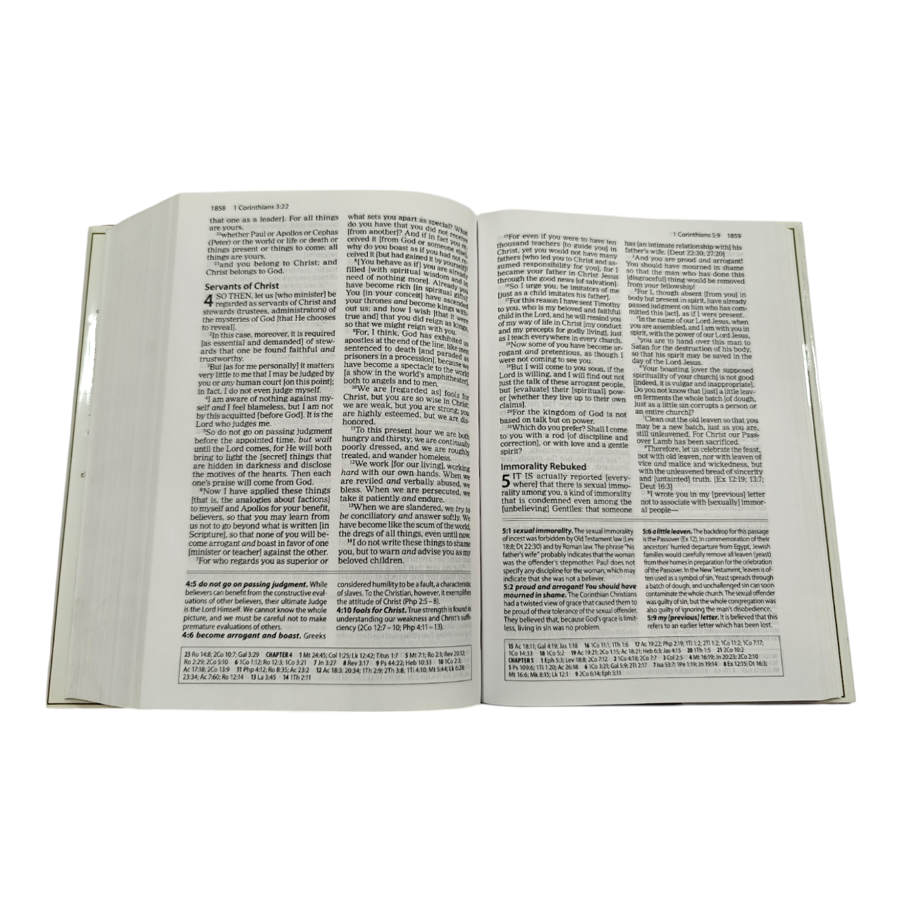 The Amplified Study Bible (AMP), 5,000+ Study Notes & Expanded Word Meanings (Zondervan) | Study Bible, Reference Bible | Holy Bible