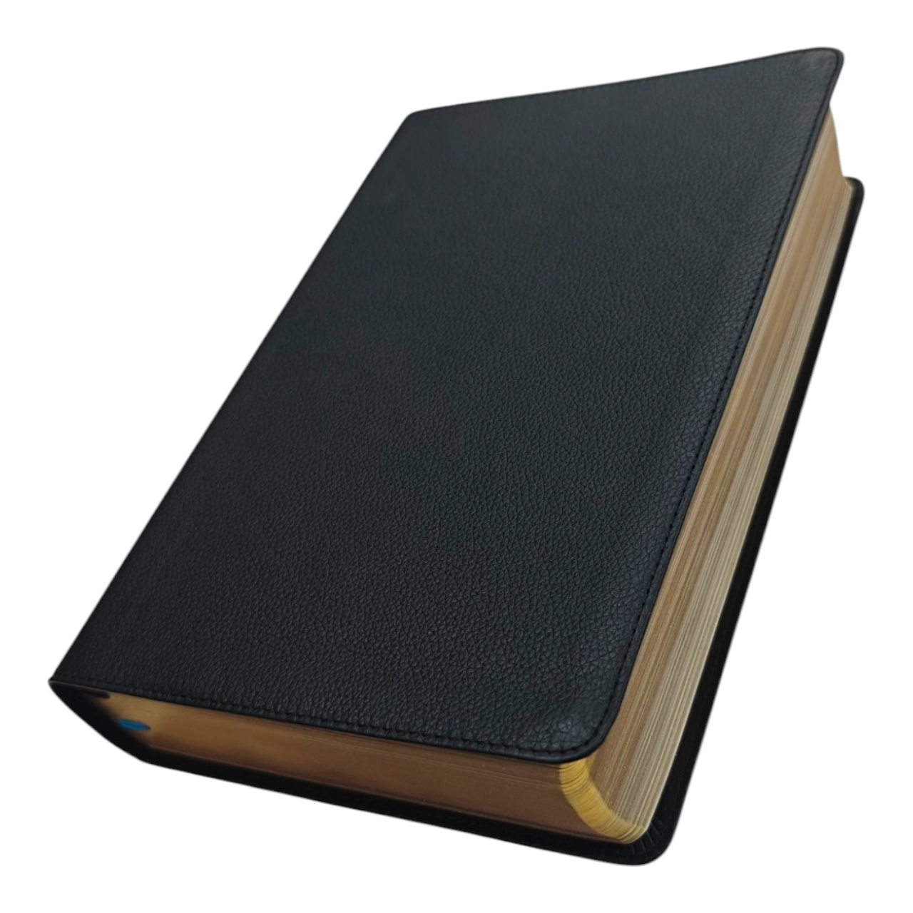 NIV The Woman's Study Bible, Full-Color, Red Letter | Study Bible, Reference Bible | Holy Bible