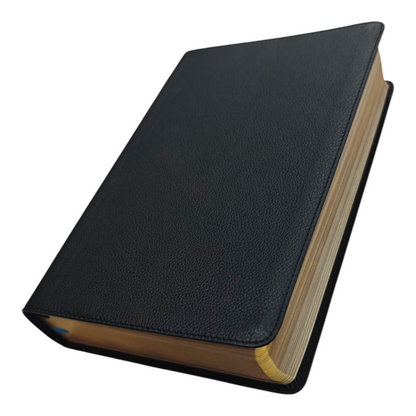 NIV The Woman's Study Bible, Full-Color, Red Letter | Study Bible, Reference Bible | Holy Bible