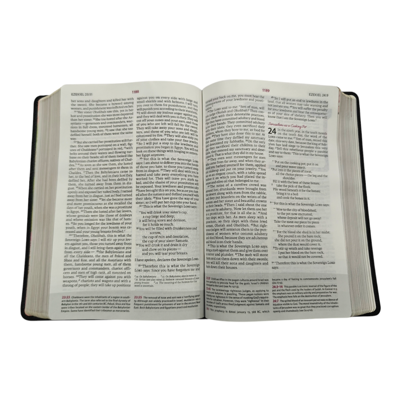 NIV The Woman's Study Bible, Full-Color, Red Letter | Study Bible, Reference Bible | Holy Bible