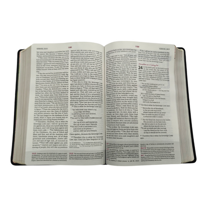 NIV The Woman's Study Bible, Full-Color, Red Letter | Study Bible, Reference Bible | Holy Bible