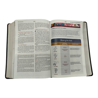 NIV The Woman's Study Bible, Full-Color, Red Letter | Study Bible, Reference Bible | Holy Bible