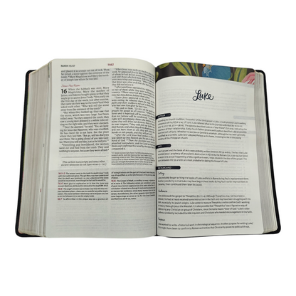 NIV The Woman's Study Bible, Full-Color, Red Letter | Study Bible, Reference Bible | Holy Bible