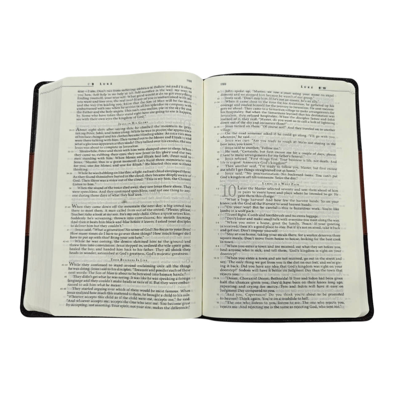 The Message Bible Compact Leathersoft Contemporary Paraphrase | English Bible, Holy Bible