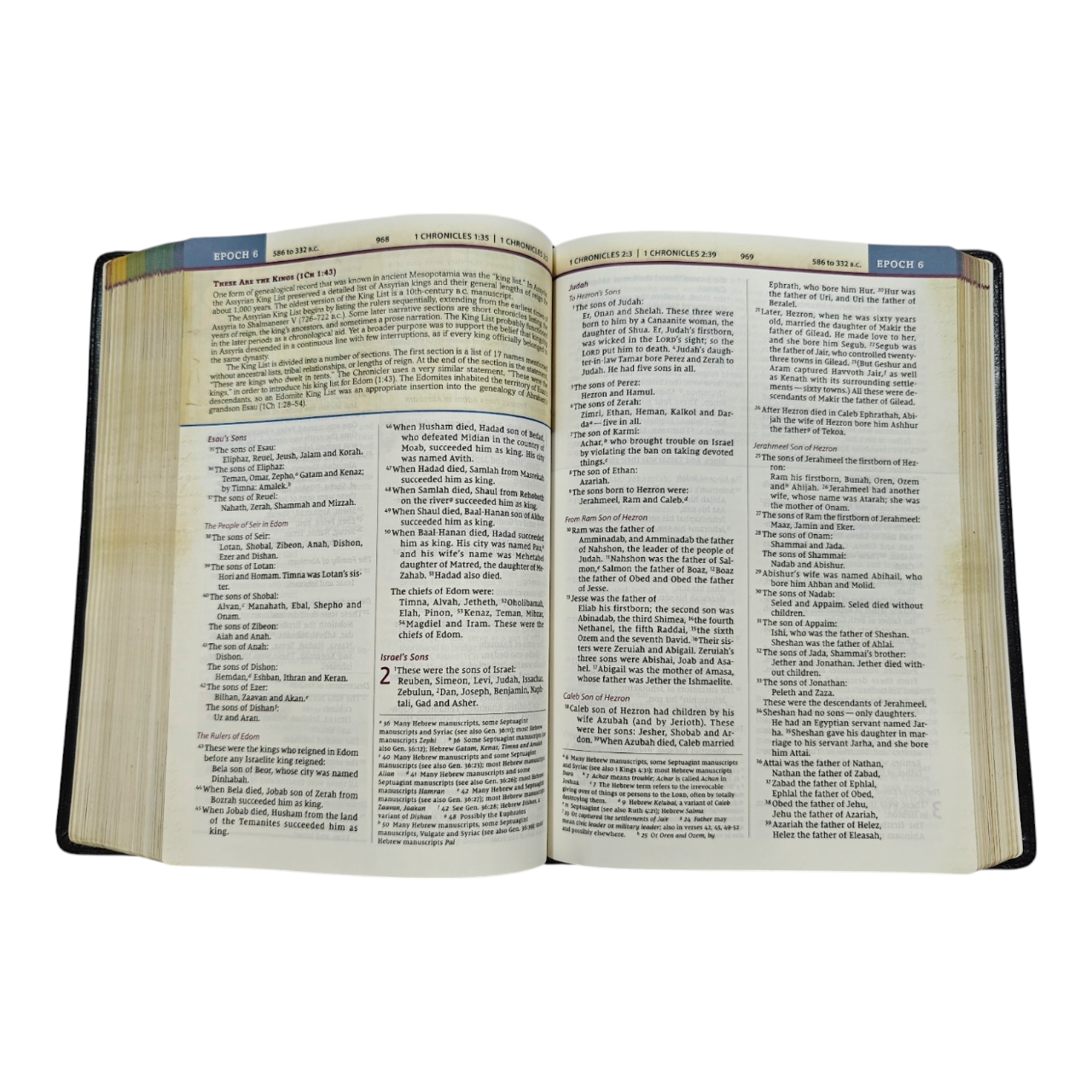 NIV, Chronological Study Bible, Hardcover, Comfort Print | Study Bible, Reference Bible | Holy Bible