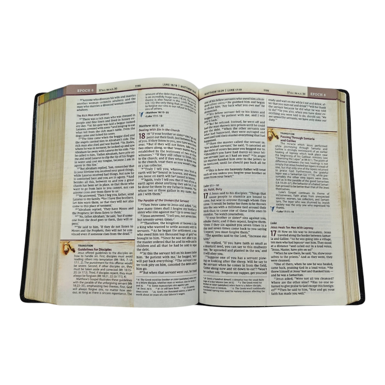 NIV, Chronological Study Bible, Hardcover, Comfort Print | Study Bible, Reference Bible | Holy Bible