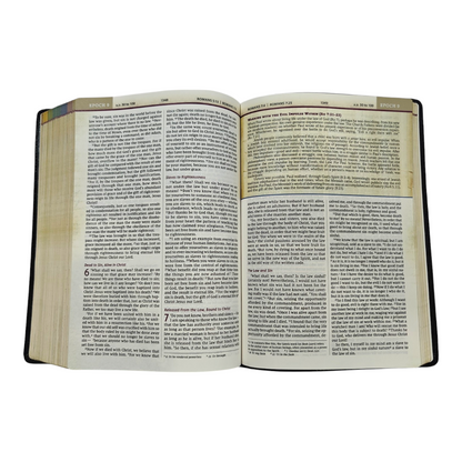 NIV, Chronological Study Bible, Hardcover, Comfort Print | Study Bible, Reference Bible | Holy Bible