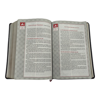 NKJV Vines Expository Bible Cloth Over Board Comfort Print | English Bible, Holy Bible