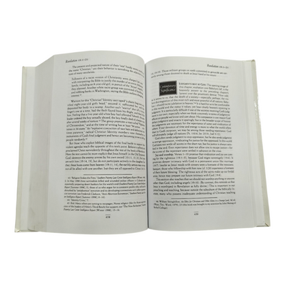 The NIV Application Commentary (NIVAC), From Biblical Text to Contemporary Life (Zondervan) | Bible Commentary, Bible Reference | English Christian