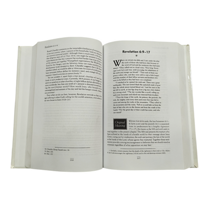 The NIV Application Commentary (NIVAC), From Biblical Text to Contemporary Life (Zondervan) | Bible Commentary, Bible Reference | English Christian