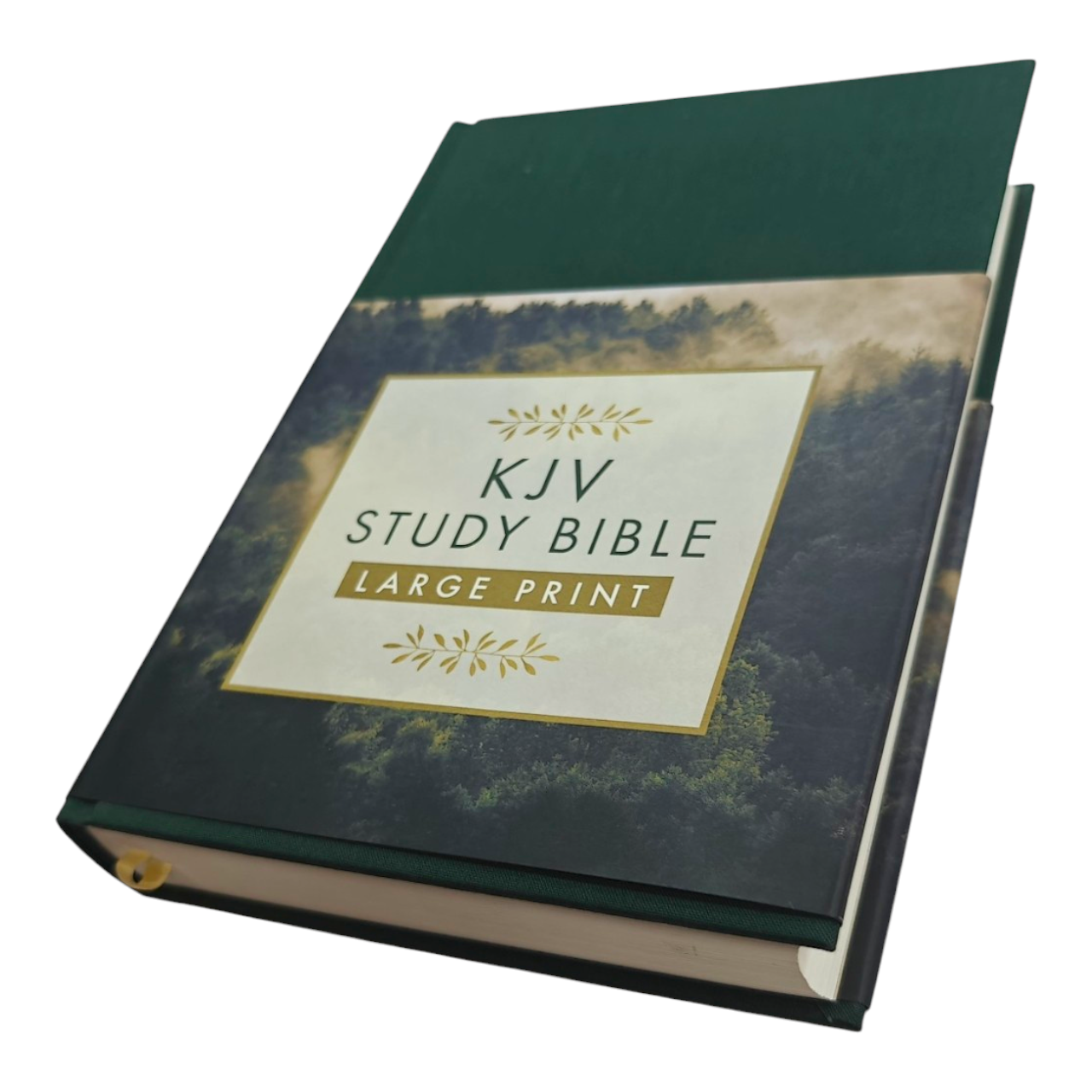 KJV Study Bible Large Print King James Version | Study Bible, Reference Bible | Holy Bible