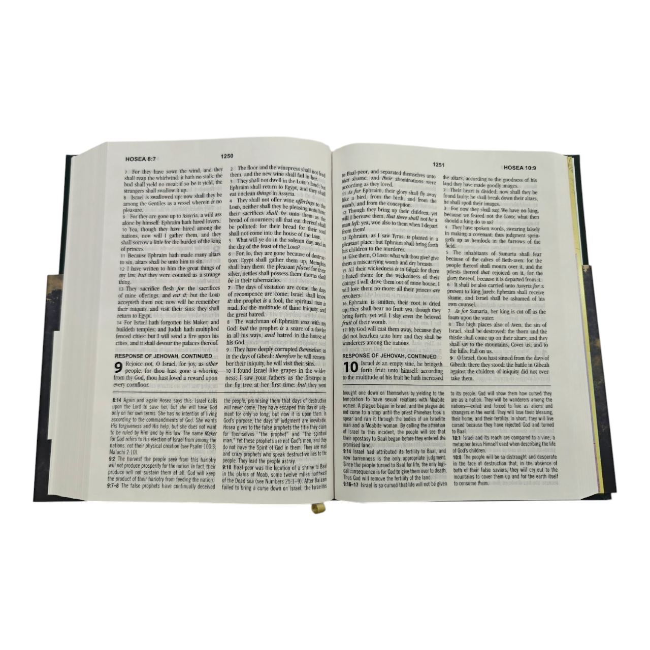 KJV Study Bible Large Print King James Version | Study Bible, Reference Bible | Holy Bible