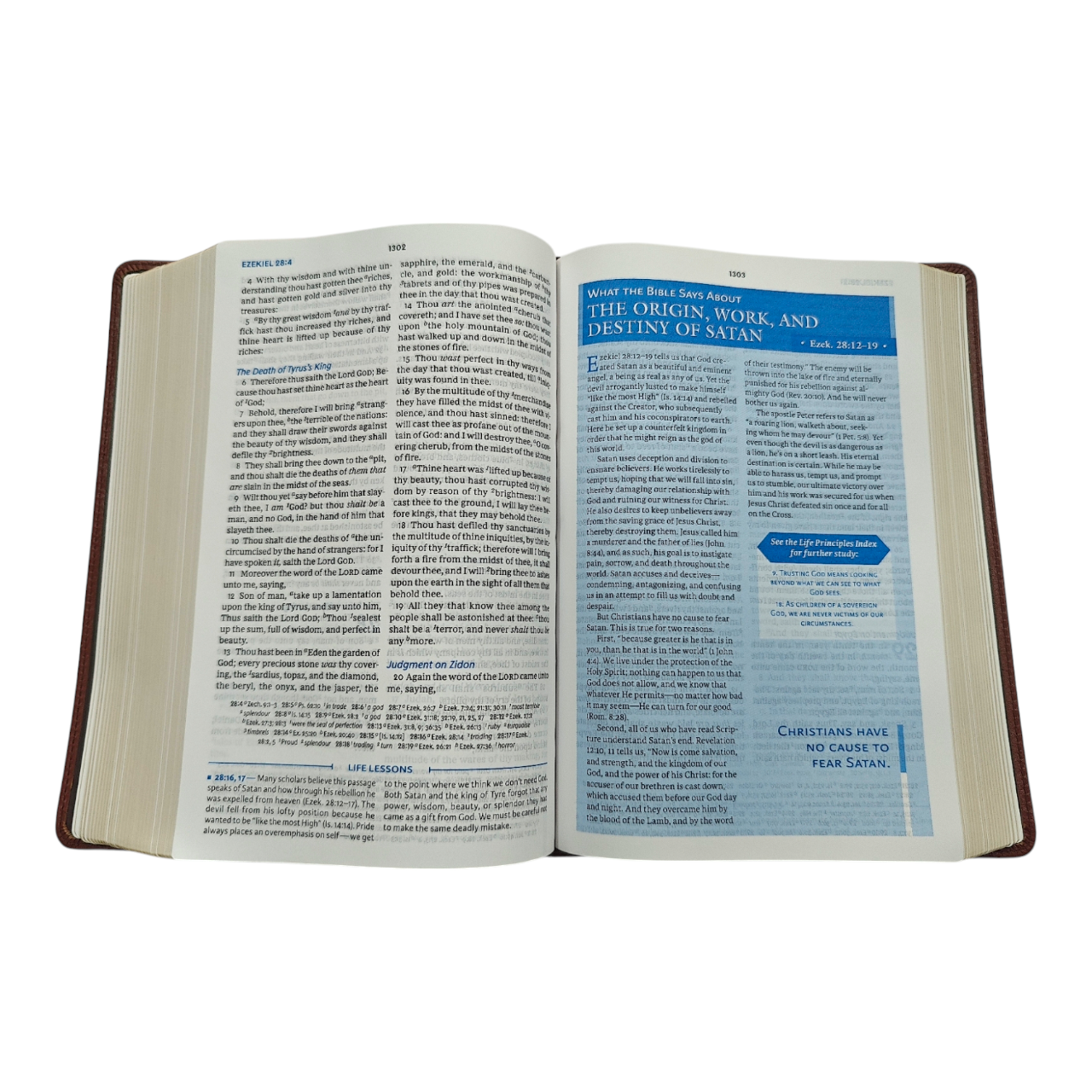 KJV Charles F. Stanley Life Principles Bible - Brown Genuine Leather (King James Version) | Study Bible, Reference Bible | Holy Bible