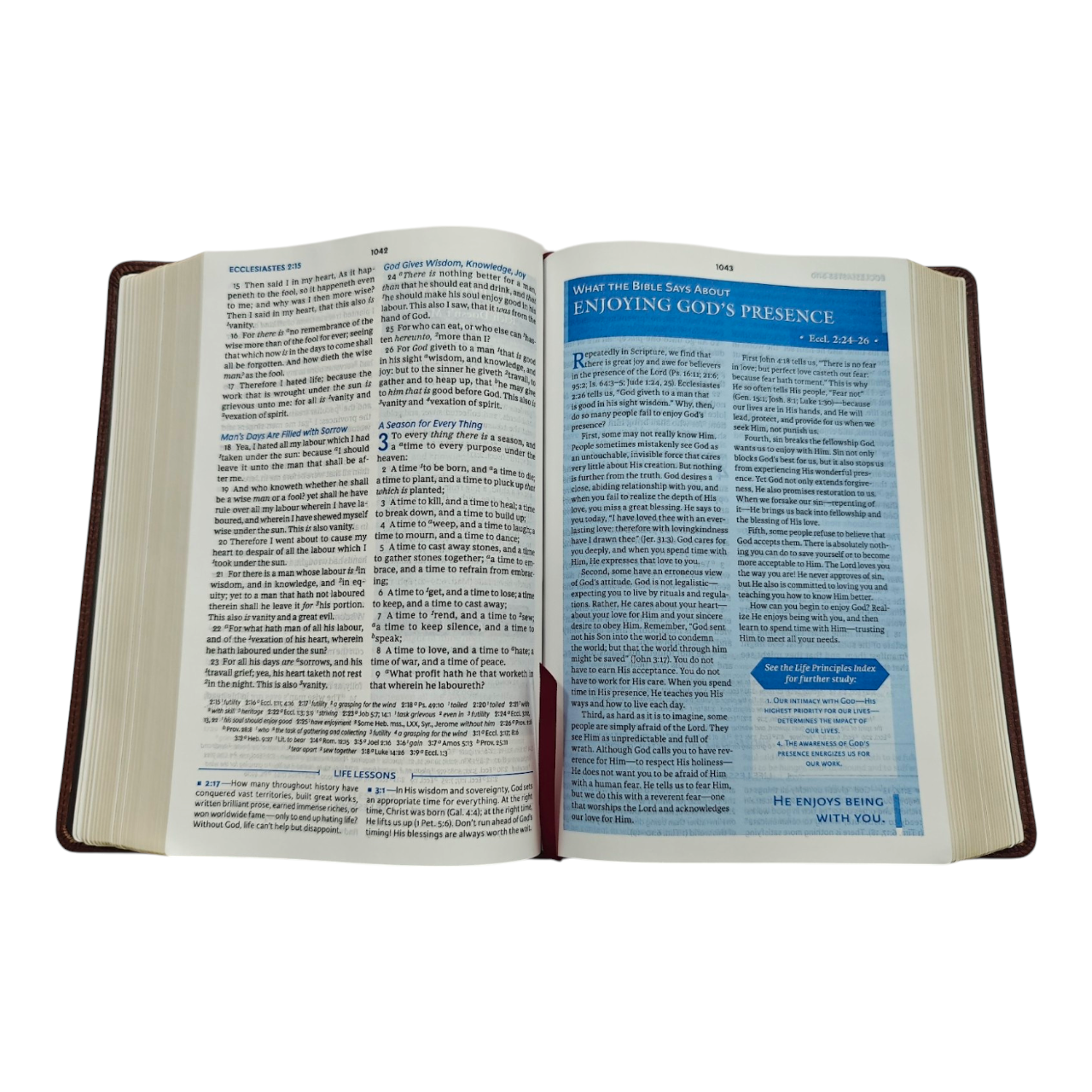 KJV Charles F. Stanley Life Principles Bible - Brown Genuine Leather (King James Version) | Study Bible, Reference Bible | Holy Bible