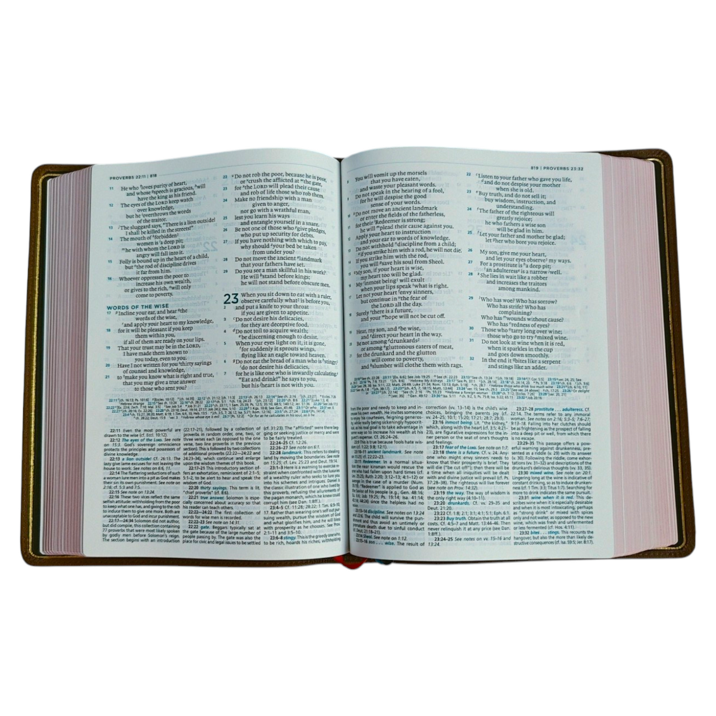 The MacArthur Study Bible, Second Edition (ESV) | Study Bible, Reference Bible | Holy Bible
