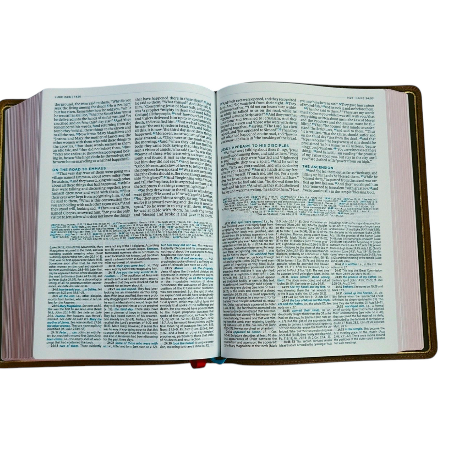The MacArthur Study Bible, Second Edition (ESV) | Study Bible, Reference Bible | Holy Bible