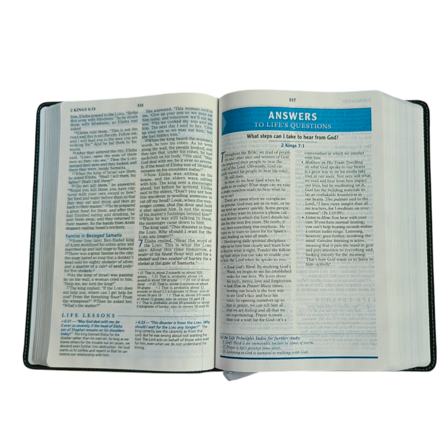 NIV Charles F. Stanley Life Principles Bible | Study Bible, Reference Bible | Holy Bible