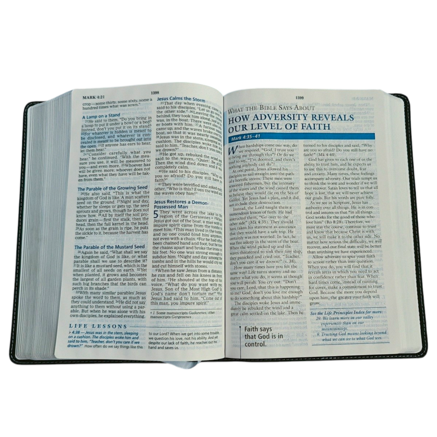 NIV Charles F. Stanley Life Principles Bible | Study Bible, Reference Bible | Holy Bible