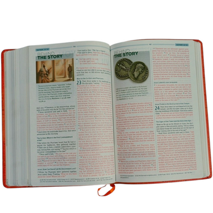 NKJV Essential Teen Study Bible | NKJV Essential Teen Study Bible – Orange Cork LeatherTouch | Holy Bible