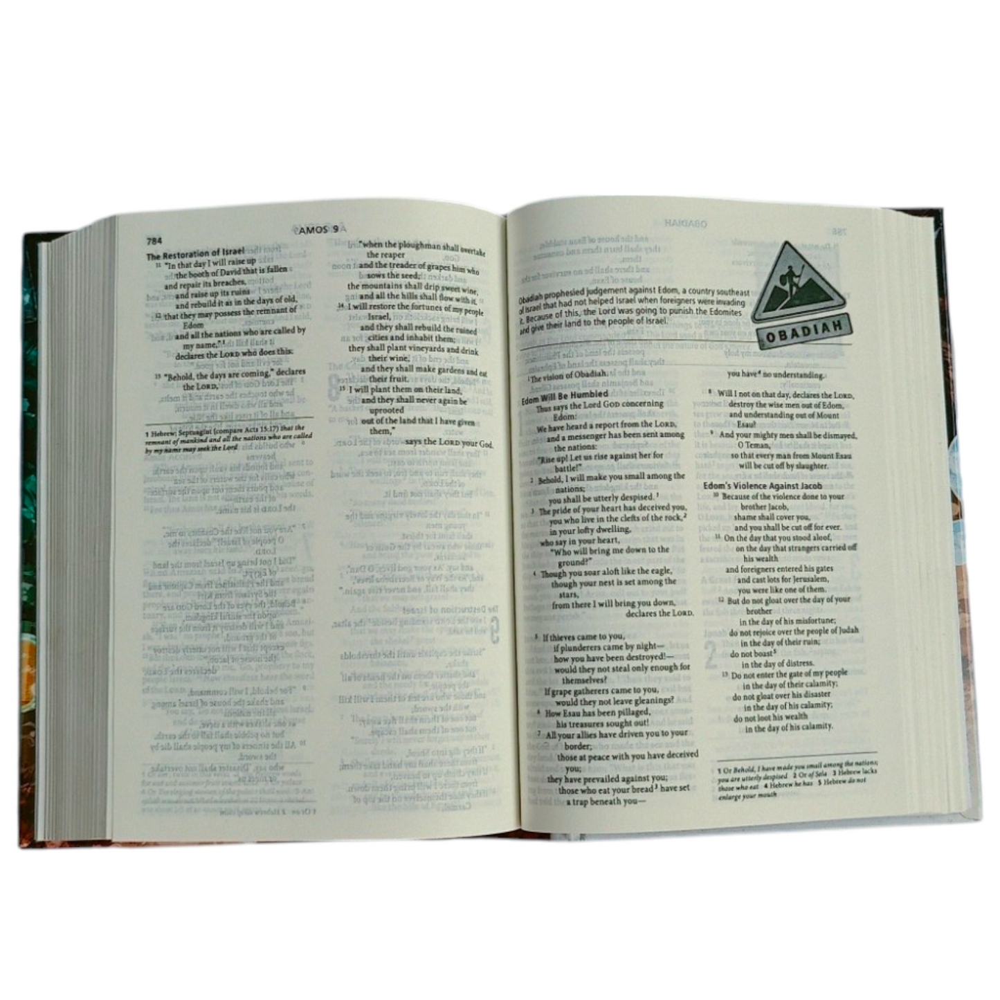 ESV Youth Bible | ESV Youth Bible – Hardcover | Holy Bible
