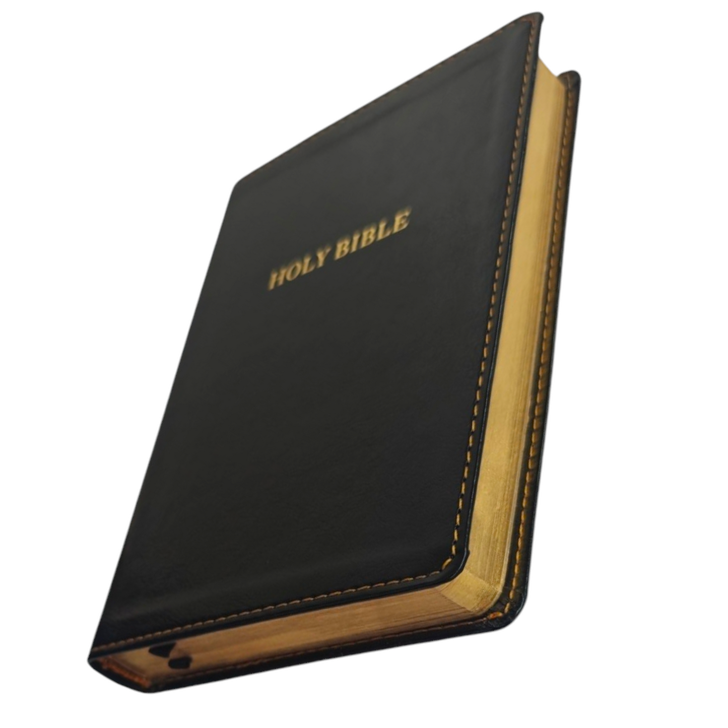 KJV Compact Thinline Bible, Comfort Print | English Bible, Holy Bible