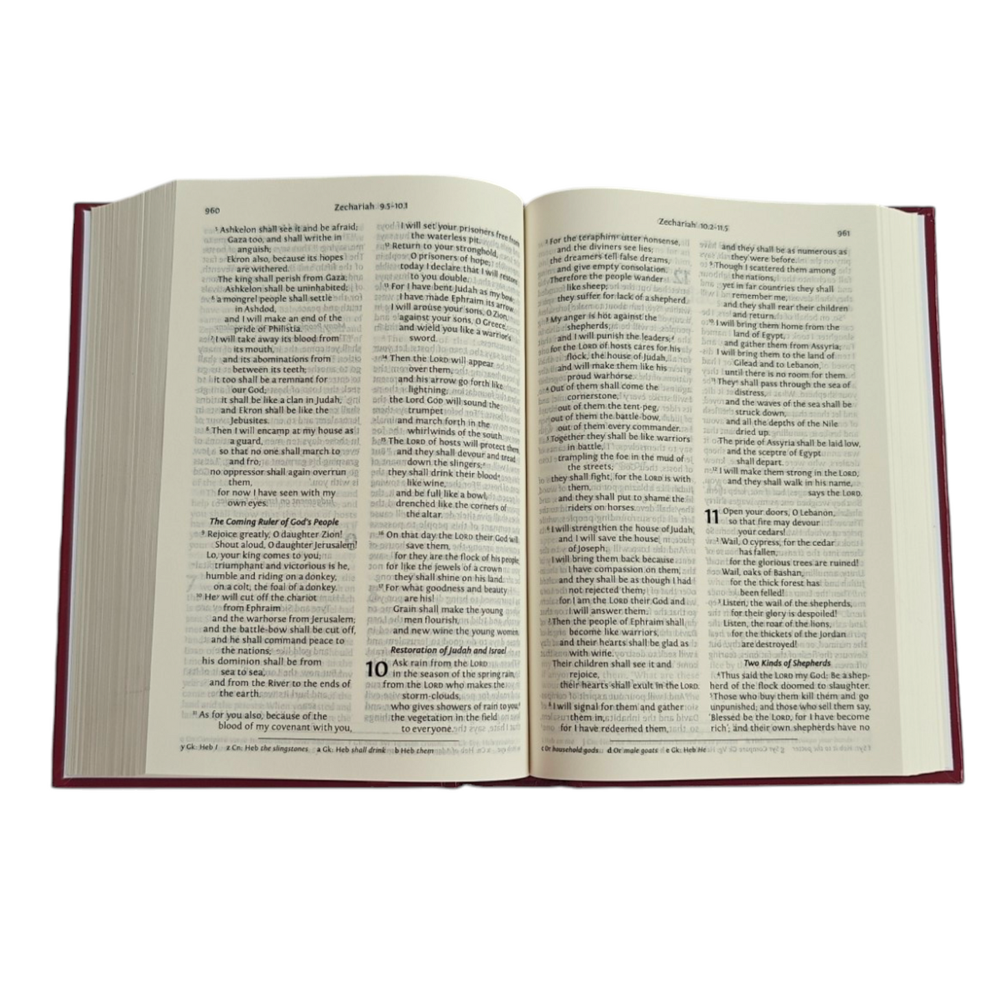 NRSV Holy Bible with Concordance | Bible Commentary, Bible Reference | English Christian Book