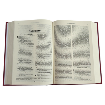 NRSV Holy Bible with Concordance | Bible Commentary, Bible Reference | English Christian Book