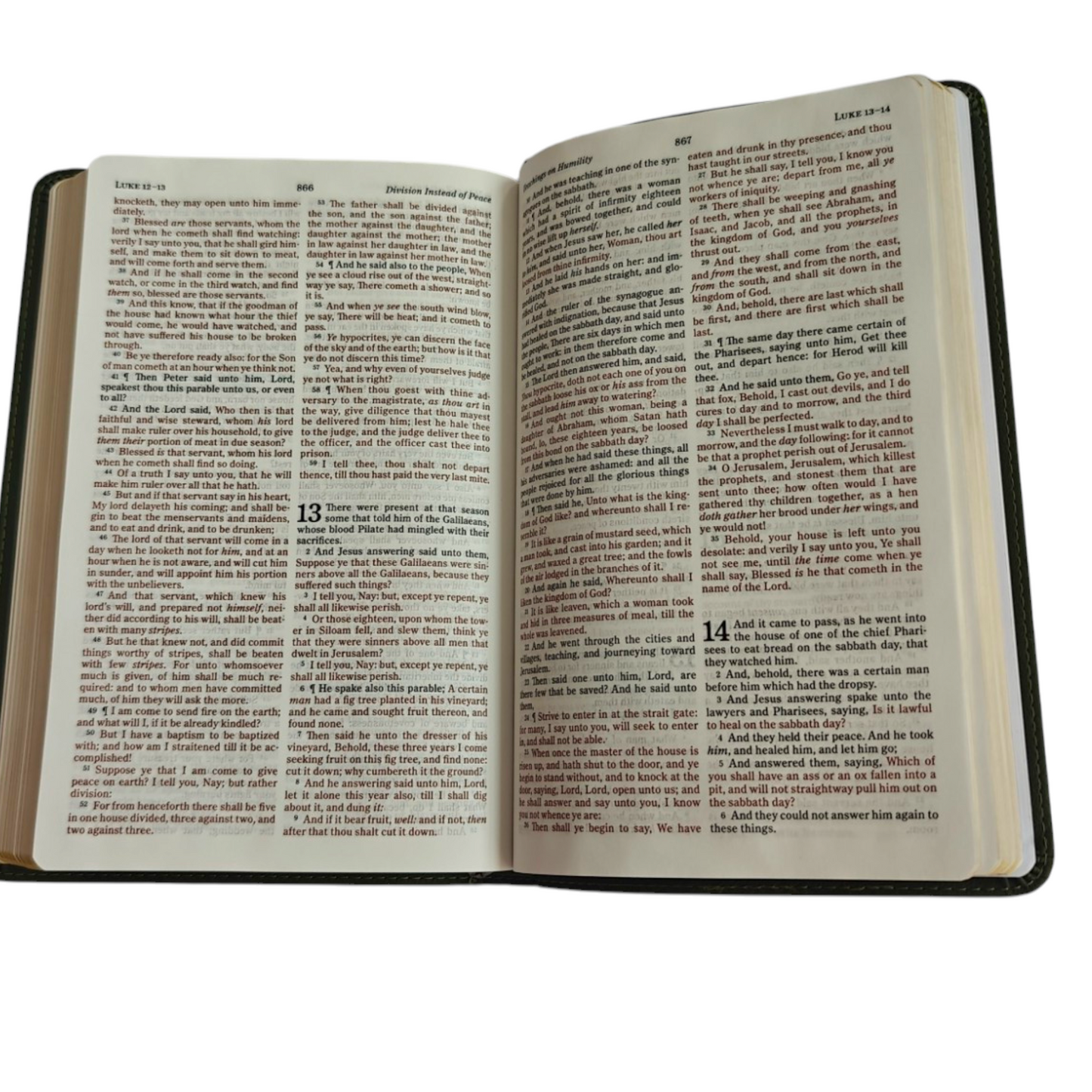 Holman KJV Thinline Bible | Holman KJV Thinline Bible – Olive LeatherTouch (Pure Cambridge Edition) | Holy Bible