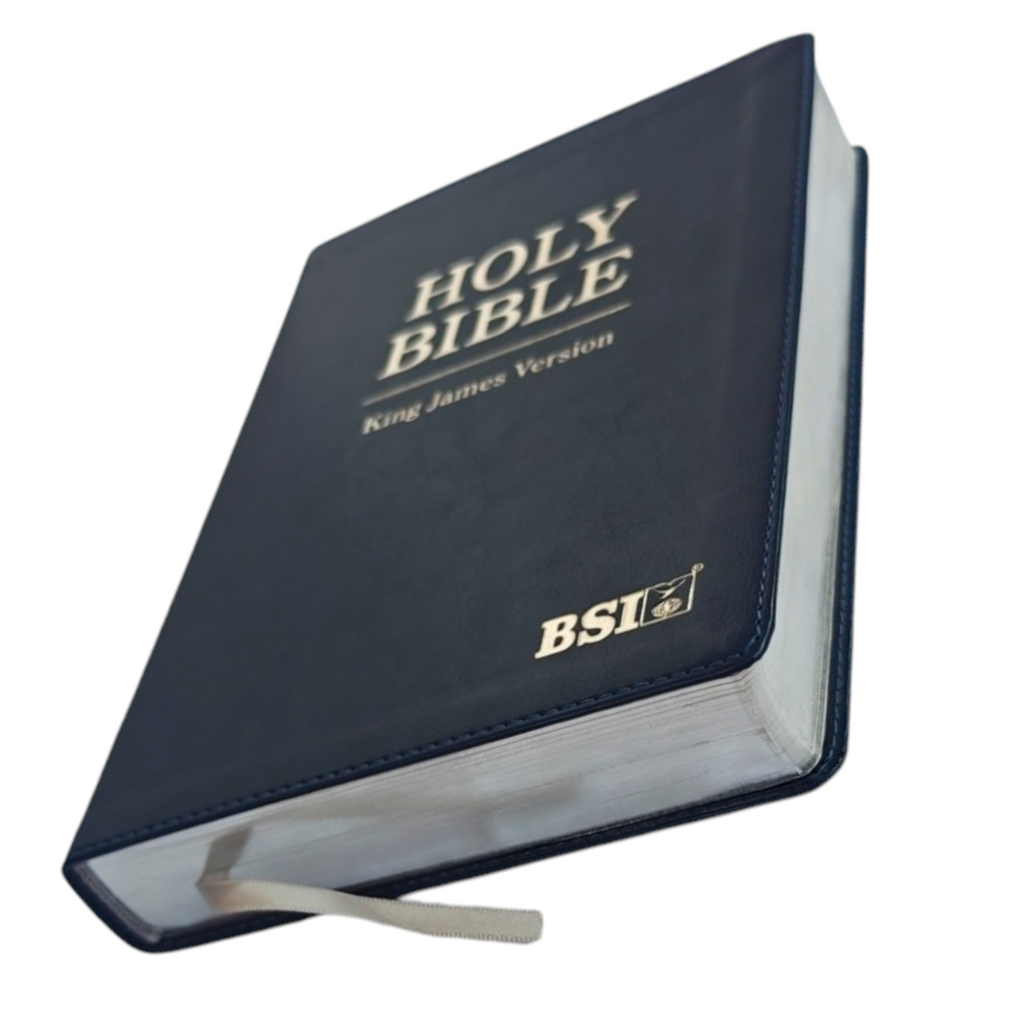 KJV Holy Bible, Large Print Edition | English Bible, Holy Bible