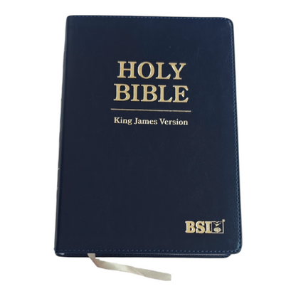KJV Holy Bible, Large Print Edition | English Bible, Holy Bible