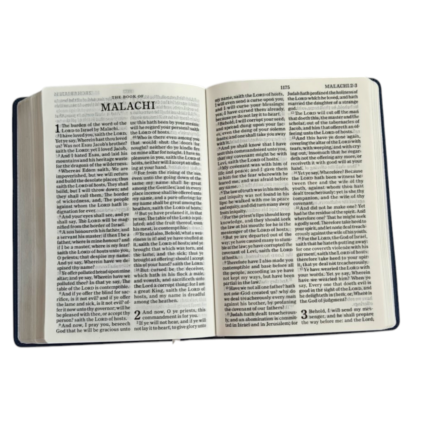 KJV Holy Bible, Large Print Edition | English Bible, Holy Bible