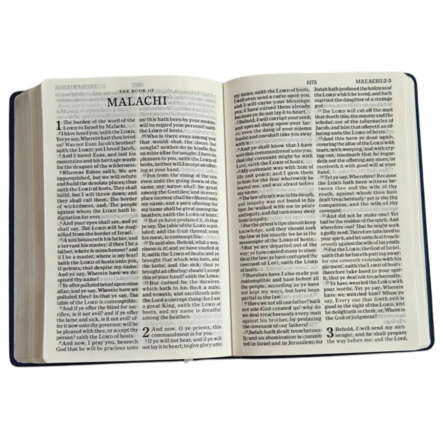 KJV Holy Bible, Large Print Edition | English Bible, Holy Bible