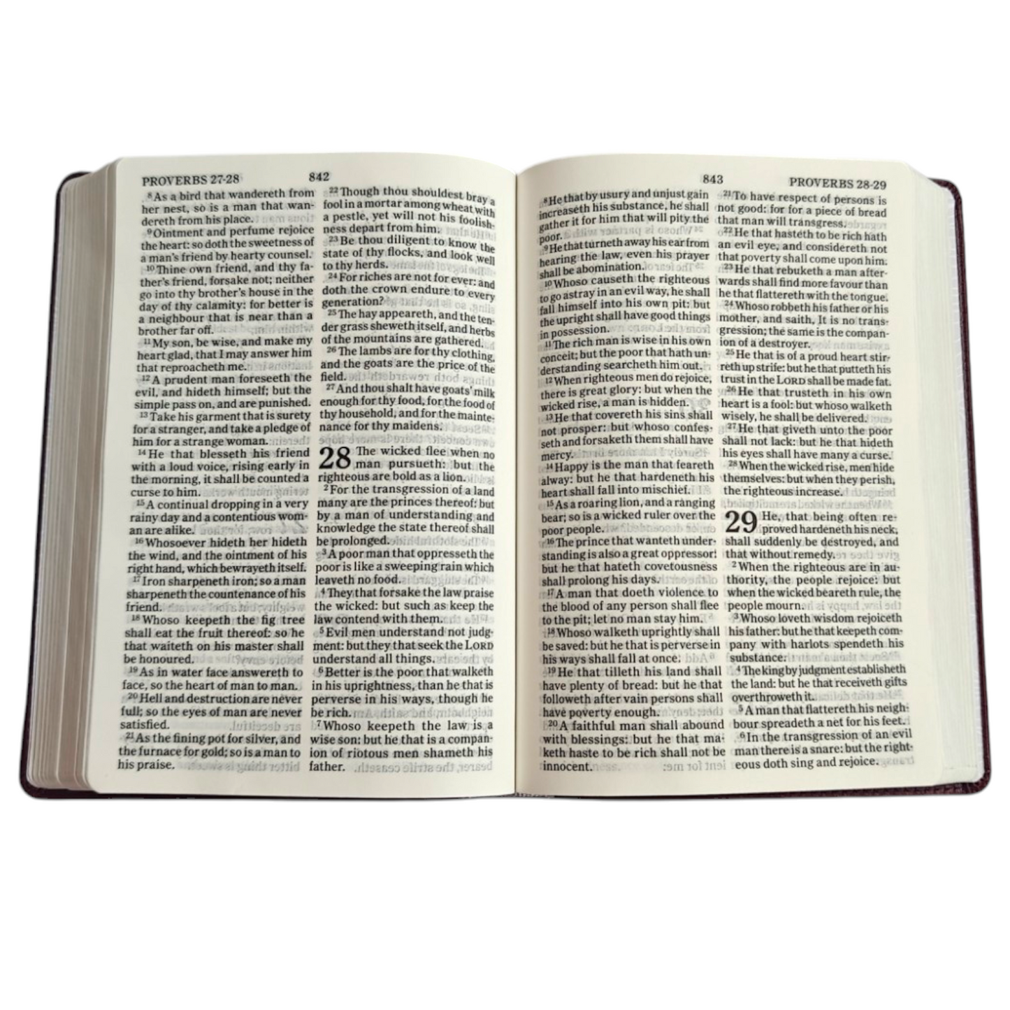 KJV Holy Bible, Large Print Edition | English Bible, Holy Bible | KJV Holy Bible, Large Print Edition – Bu