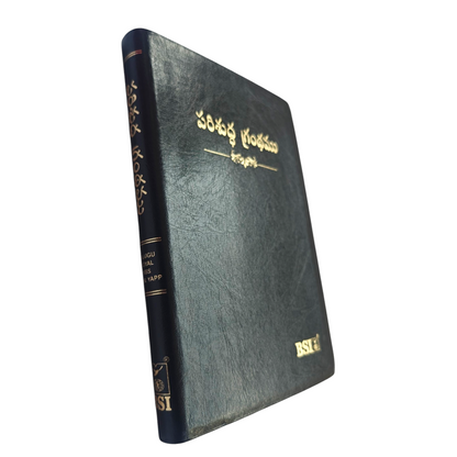 Telugu Holy Bible (Royal Size) | Regional Bible, Holy Bible