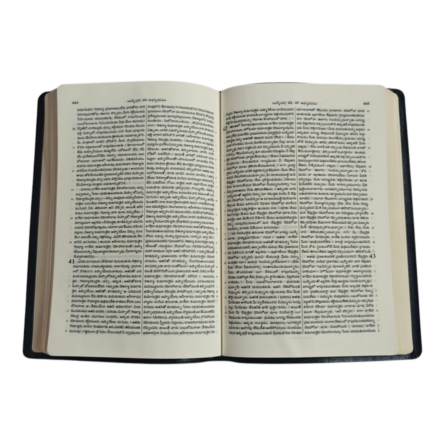 Telugu Holy Bible (Royal Size) | Regional Bible, Holy Bible