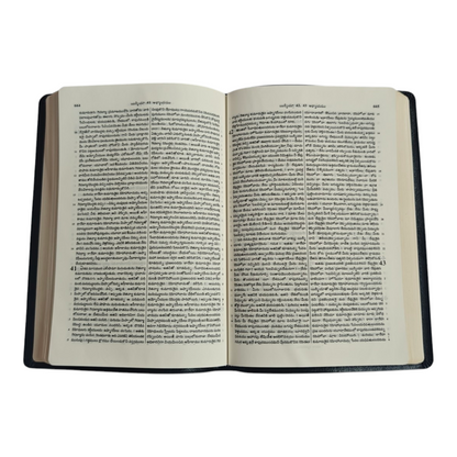 Telugu Holy Bible (Royal Size) | Regional Bible, Holy Bible