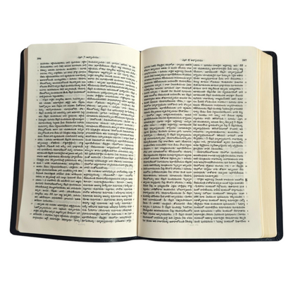 Telugu Holy Bible (Royal Size) | Regional Bible, Holy Bible