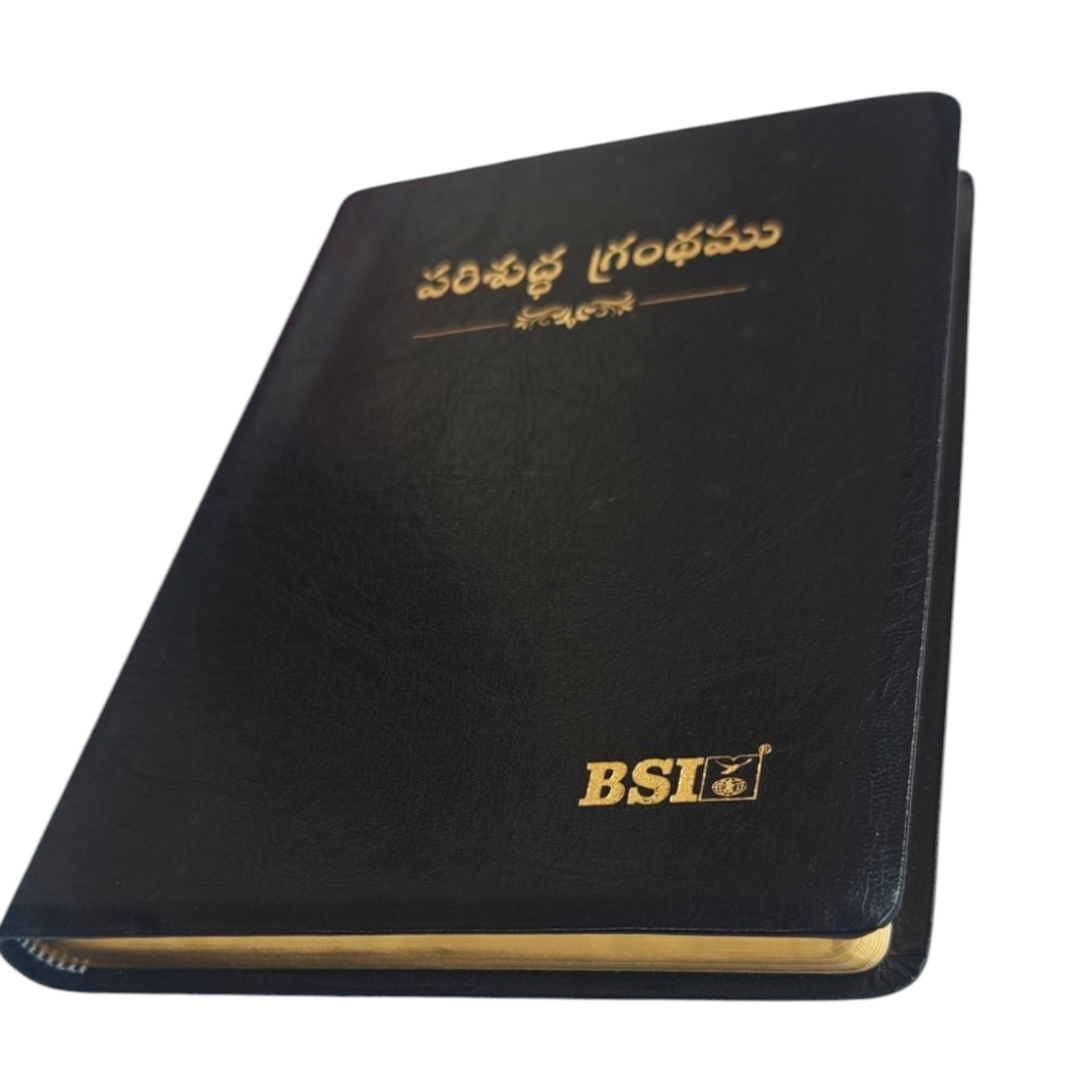Telugu Holy Bible (Royal Size) | Regional Bible, Holy Bible