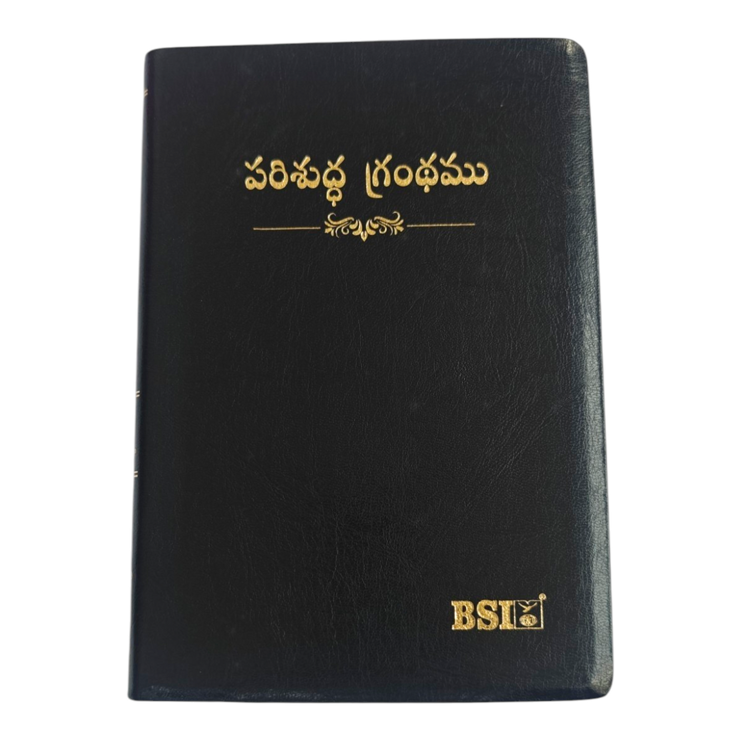 Telugu Holy Bible (Royal Size) | Regional Bible, Holy Bible