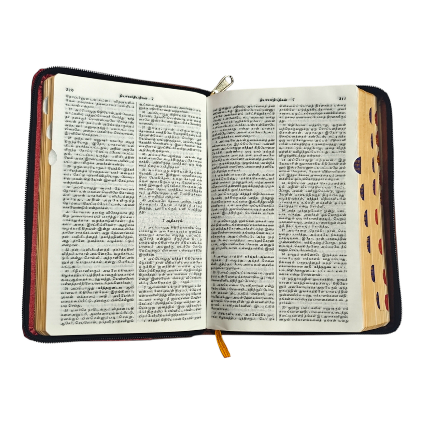 Tamil Holy Bible | Tamil Bible, Holy Bible
